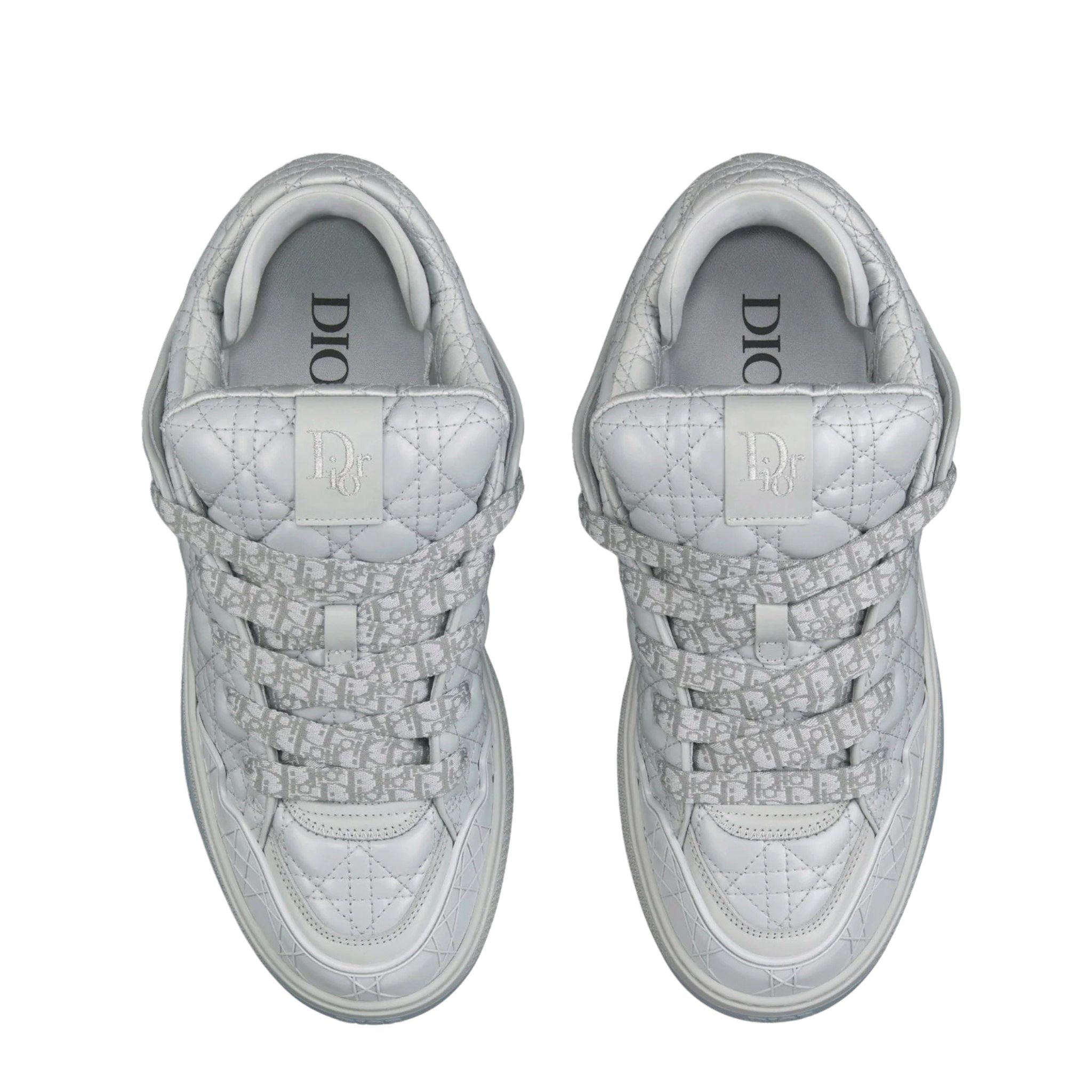 Dior B9S Grey Rare Collection