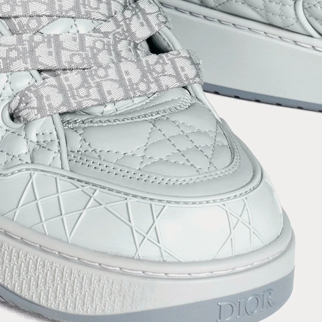 Dior B9S Grey Rare Collection