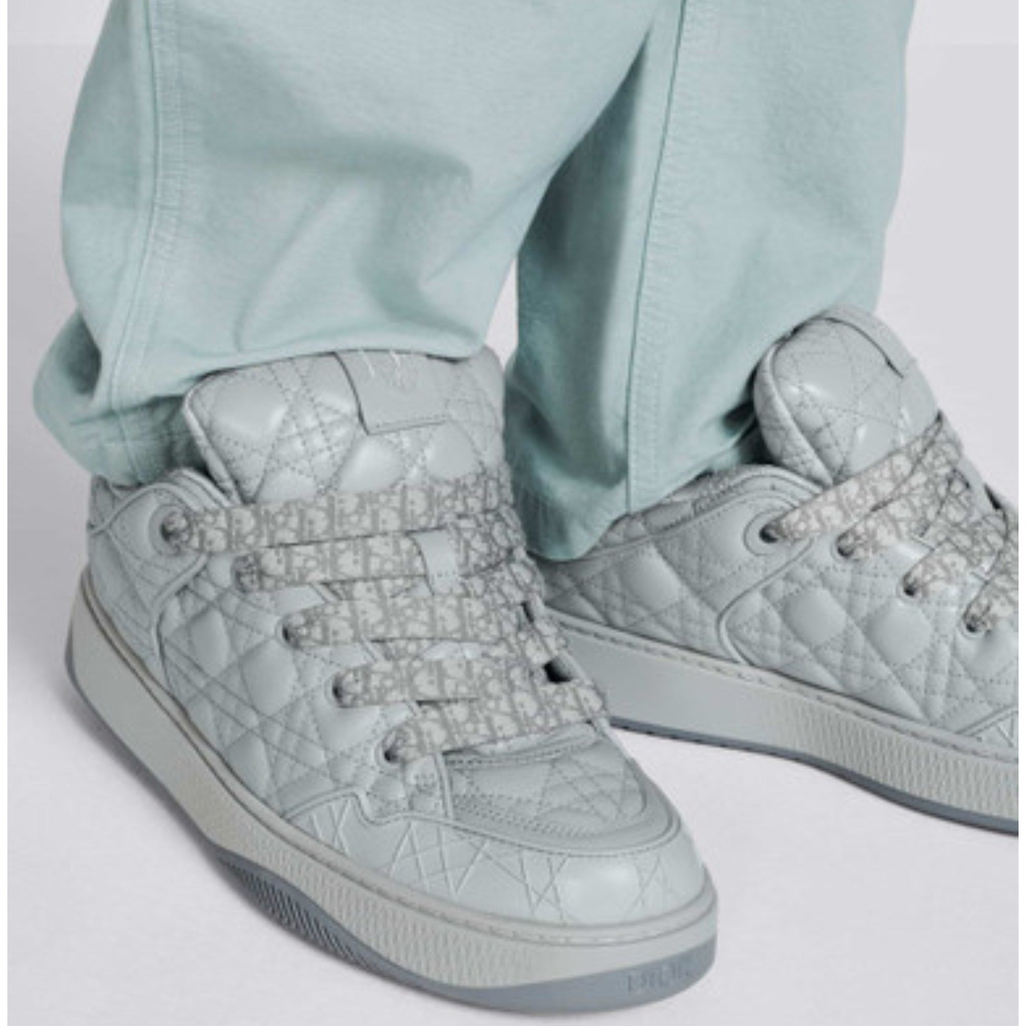 Dior B9S Grey Rare Collection